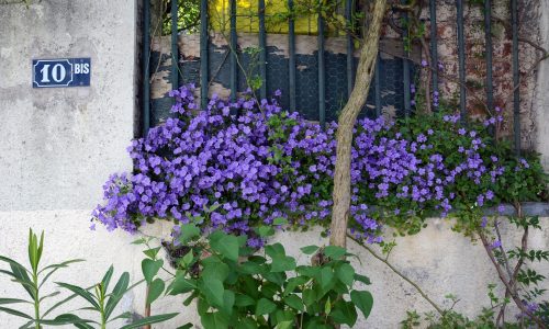 Livraison repas passage Bourgoin Paris 13e