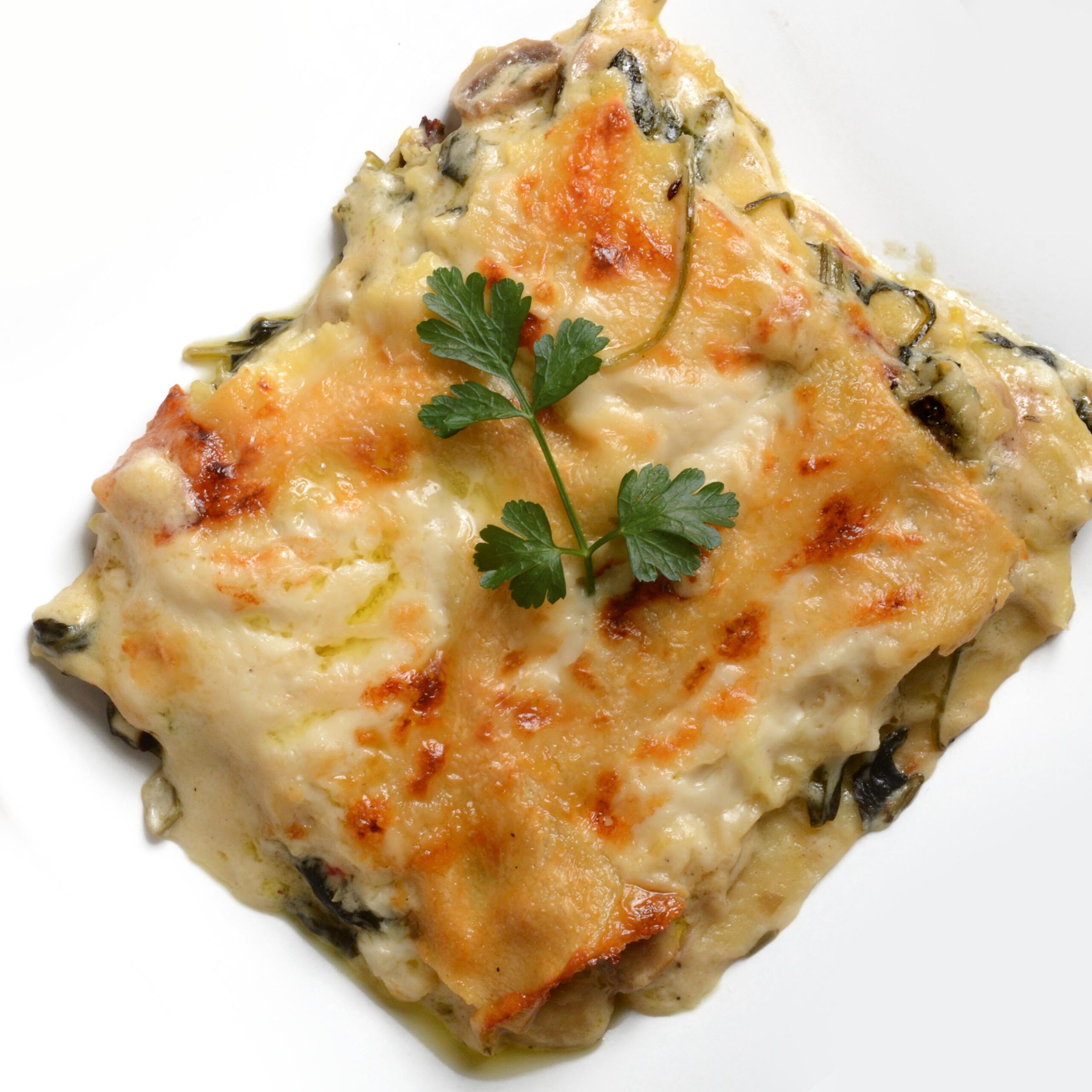 Menu bio - lasagnes épinard champignon